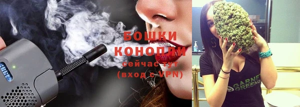не бодяженный Гусиноозёрск