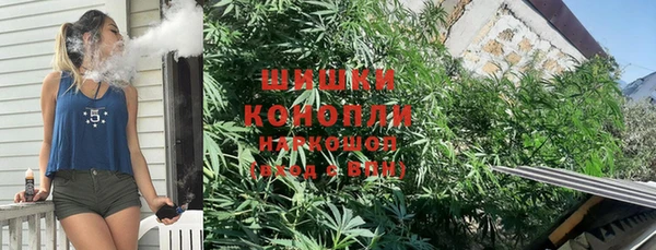 не бодяженный Гусиноозёрск