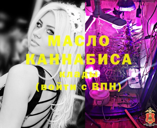 мдпв Гусь-Хрустальный