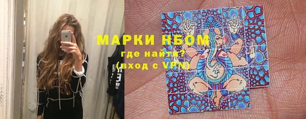 сатива Михайловка
