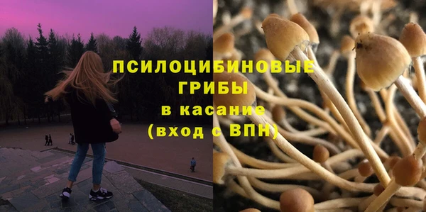 а пвп мука Михайлов