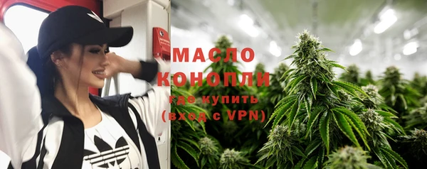 мдпв Гусь-Хрустальный