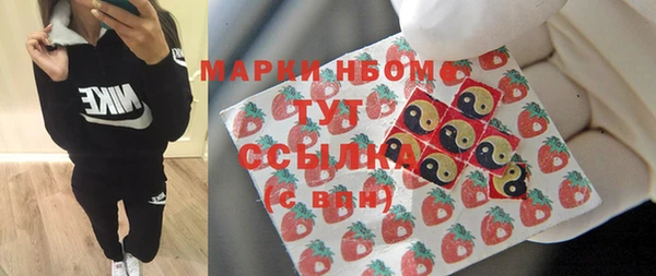 мдпв Гусь-Хрустальный