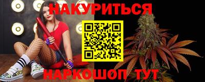 прущие грибы Гатчина