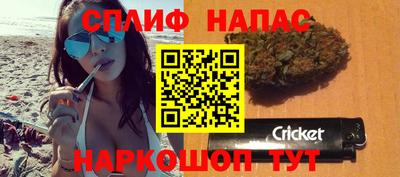 прущие грибы Гатчина