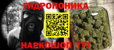 прущие грибы Гусиноозёрск