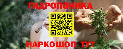 прущие грибы Гусиноозёрск