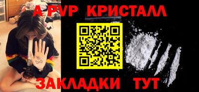 прущие грибы Гусиноозёрск