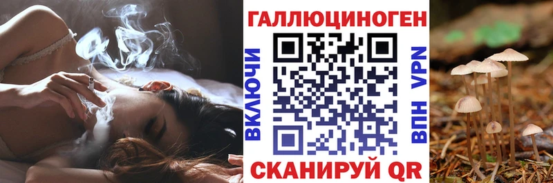 Псилоцибиновые грибы мицелий  наркотики  Заволжье 