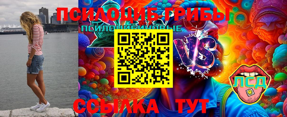 Псилоцибиновые грибы мицелий Заволжье