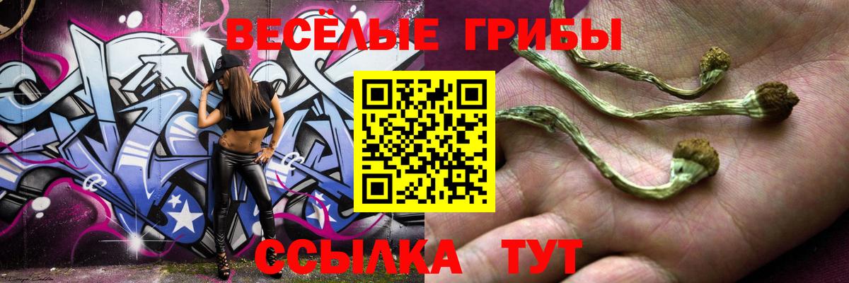 Гашиш  Конопля  Меф  МЕФ  Заволжье  Вход с VPN  ГАШ 