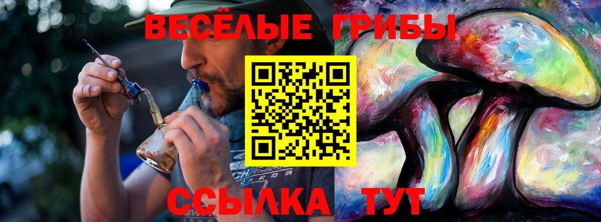 Галлюциногенные грибы MAGIC MUSHROOMS  Вход с VPN  даркнет сайт  Заволжье 
